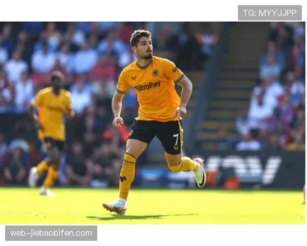 狼队官方宣布买断葡萄牙前锋内托,转会费创队史纪录 狼队官方宣布买断葡萄牙前锋内托,转会费创队史纪录